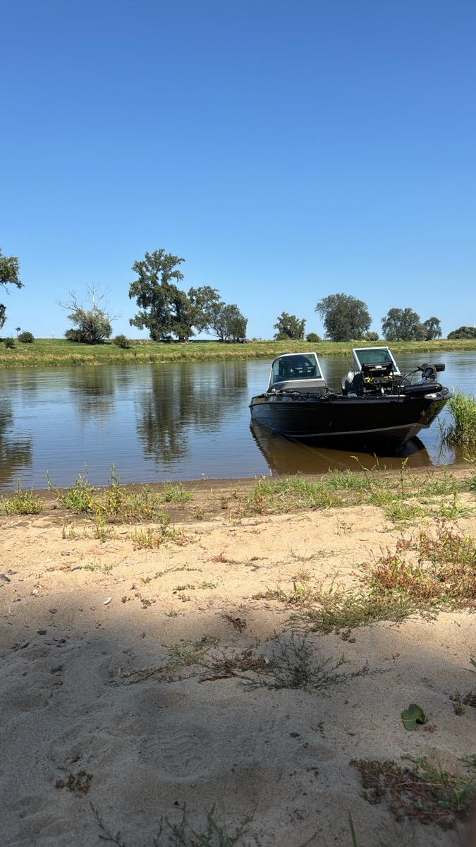 Raubfisch-Trip Elbe thumbnail 2